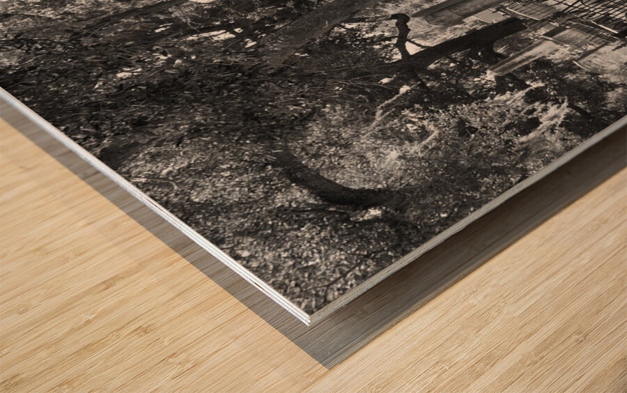 BW Pass Cemetary Wood print