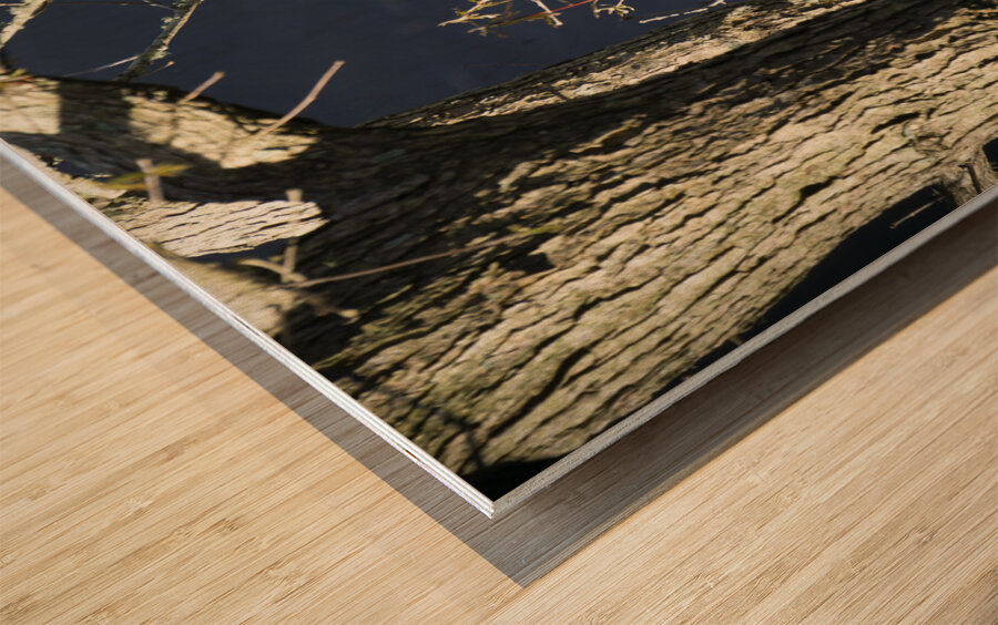 Two Little Birds Wood print