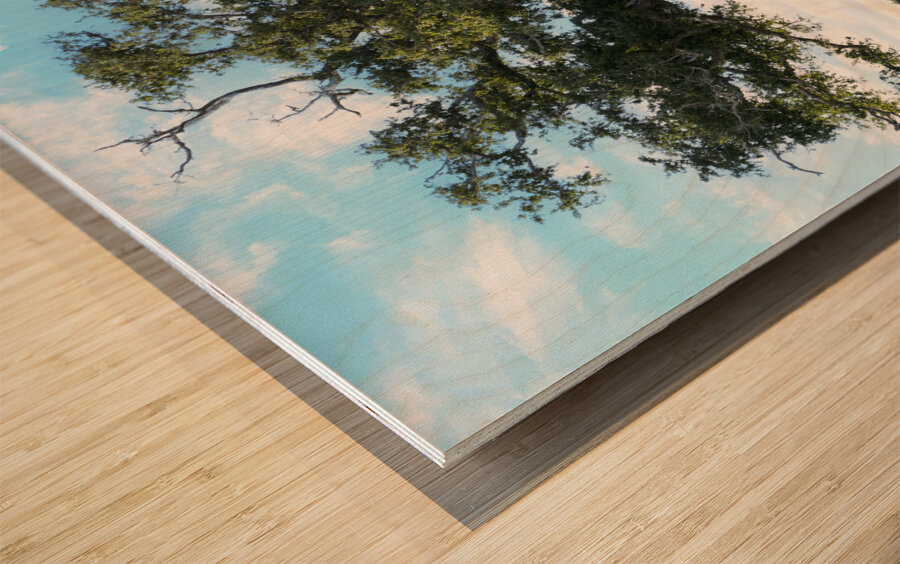 Long Beach MS Tree Wood print