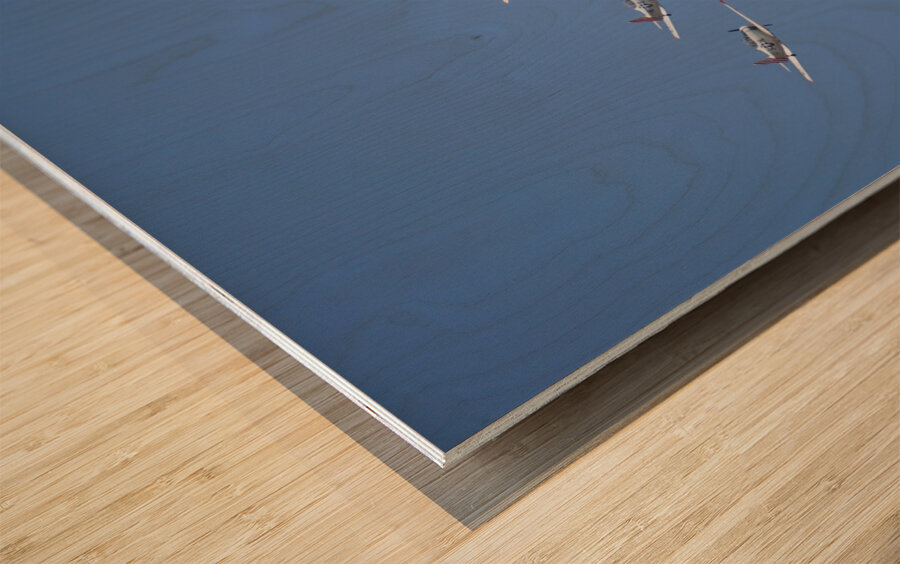 CA Planes 3 1sq Wood print