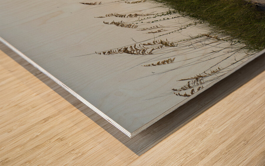 Guy s Beach Wood print