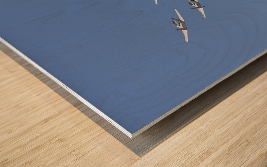 CA Planes 1sq Wood print