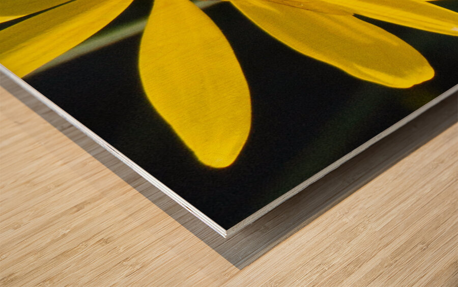 Bee The Flower Wood print