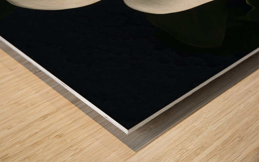 Calla Lilly Wood print