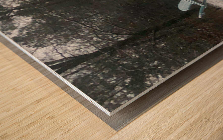 Broken Bow Wood print