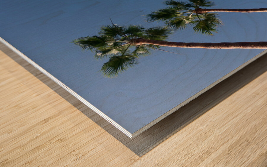 Palm Trees Wood print