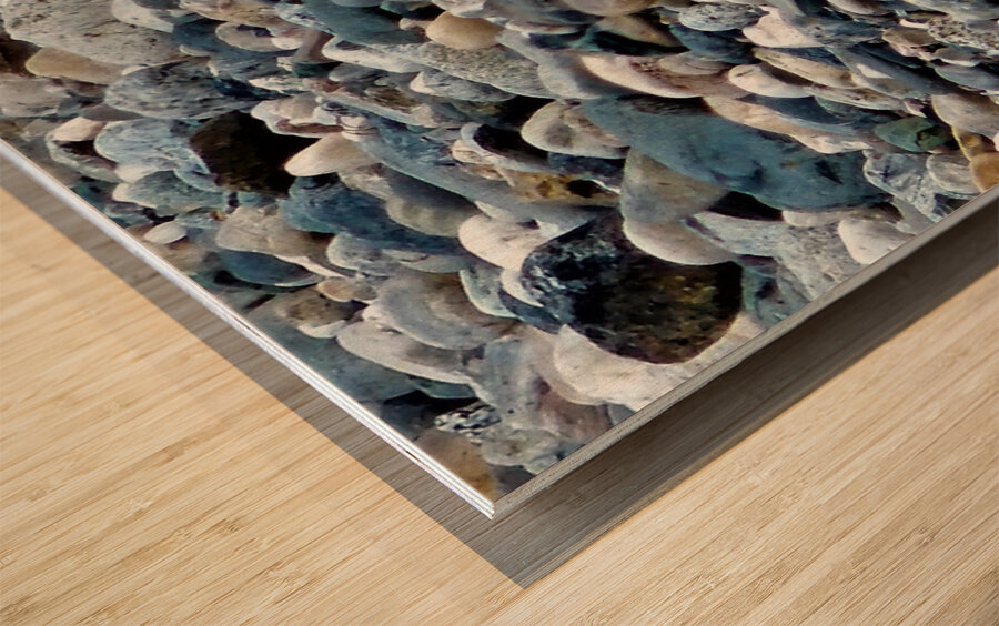 River Rocks Wood print