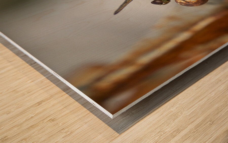 Rusty the Dragonfly Wood print