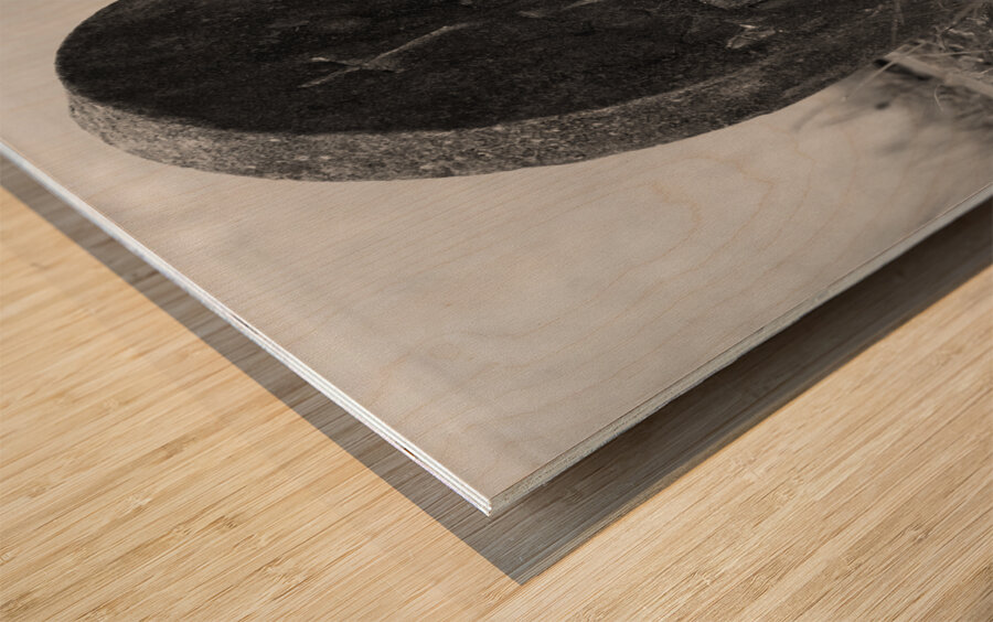 Forgotten Wood print