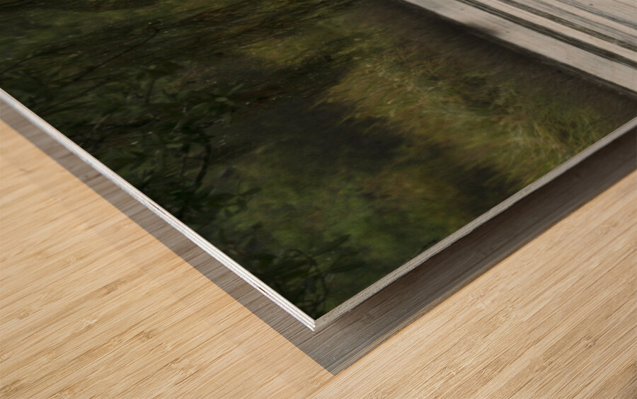 Bayou LaCroix Wood print