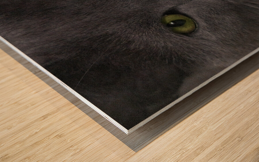 Green Eyed Fonzie Wood print