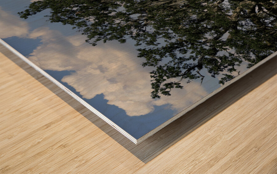 Tractor By The Hay Wood print