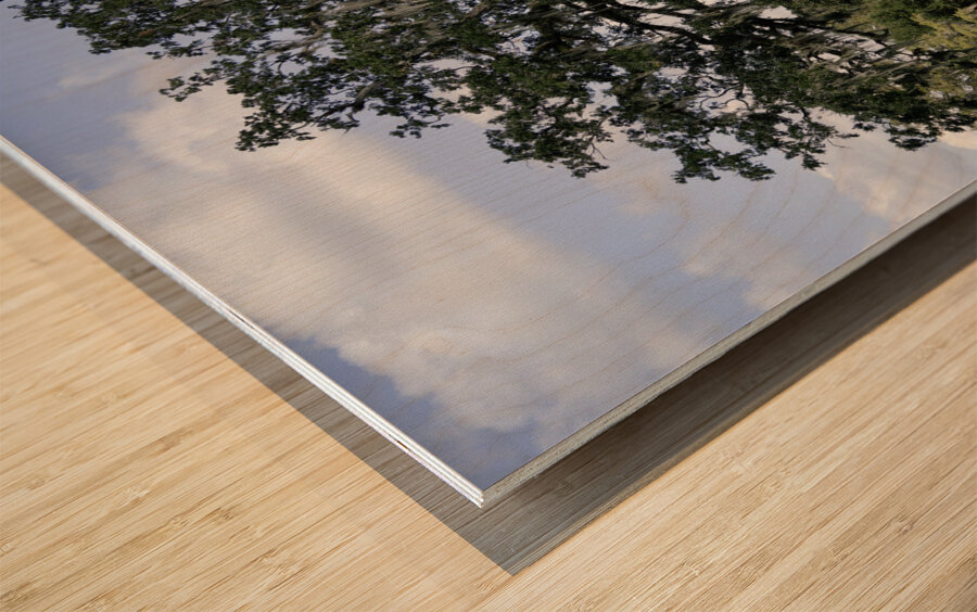 Big Old Tree Wood print