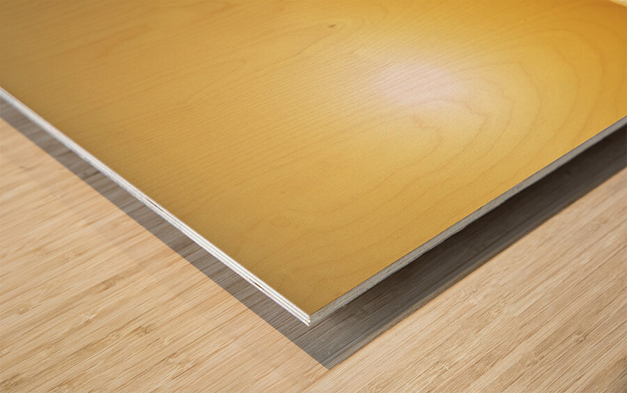 Jeep Silouette Wood print