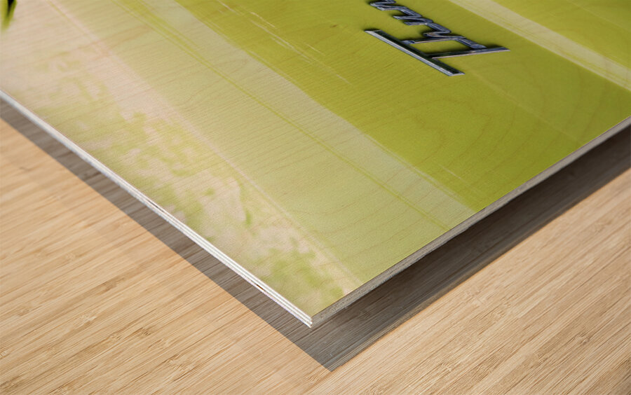 Yellow Thunderbird Wood print