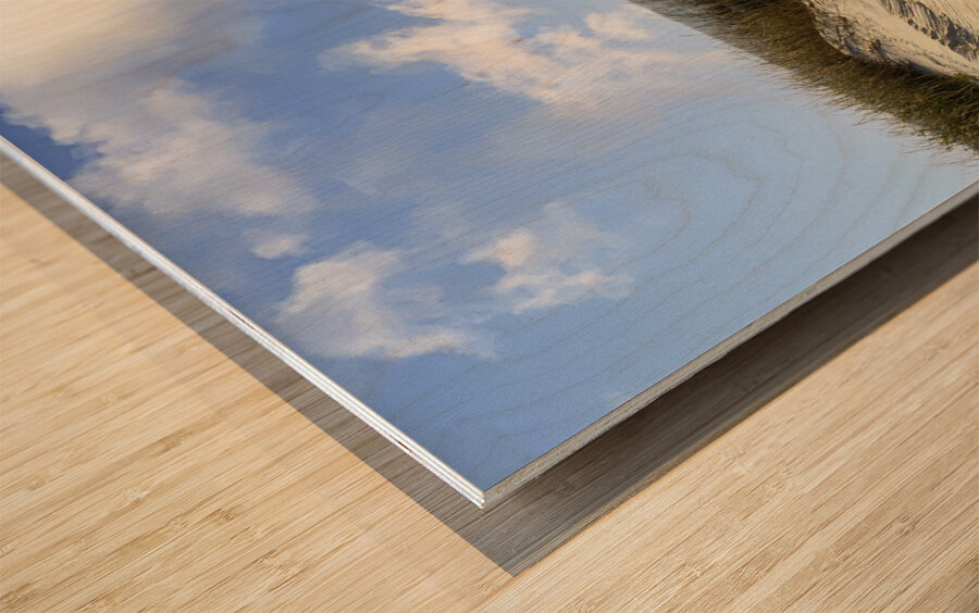 Orange VW Van Wood print