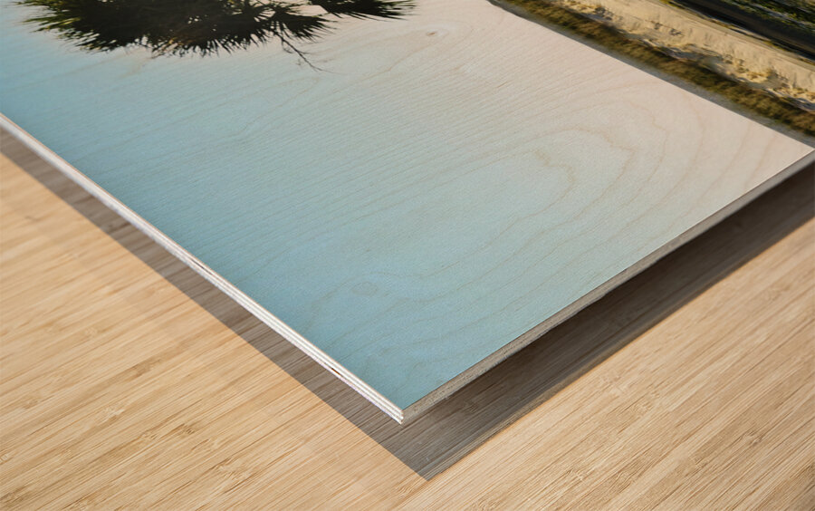 Cruisin  Beetle Wood print