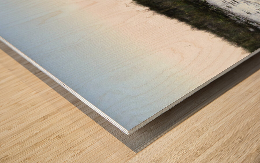 Convertible Silver Corvette Wood print