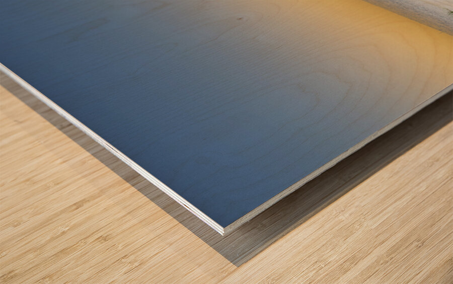 Thelma On The Beach Wood print