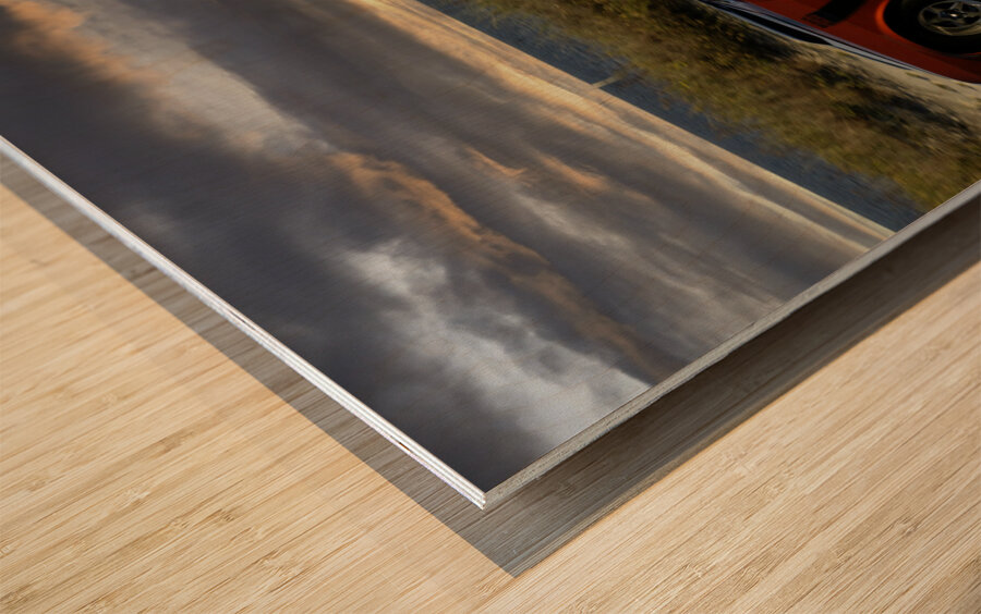 Red Mustang w Black Stripe Rear View Wood print