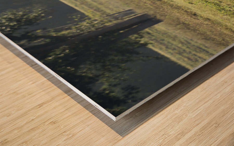 Long Horns Wood print