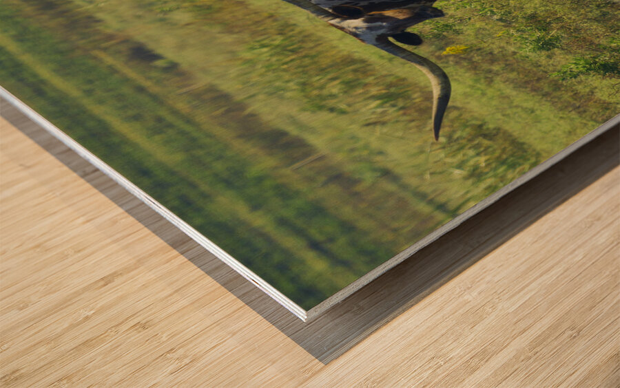 Double Trouble Wood print