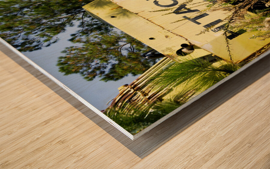 Aluminum Mound Wood print