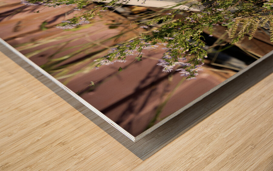 Flowers in the Junkyard Wood print