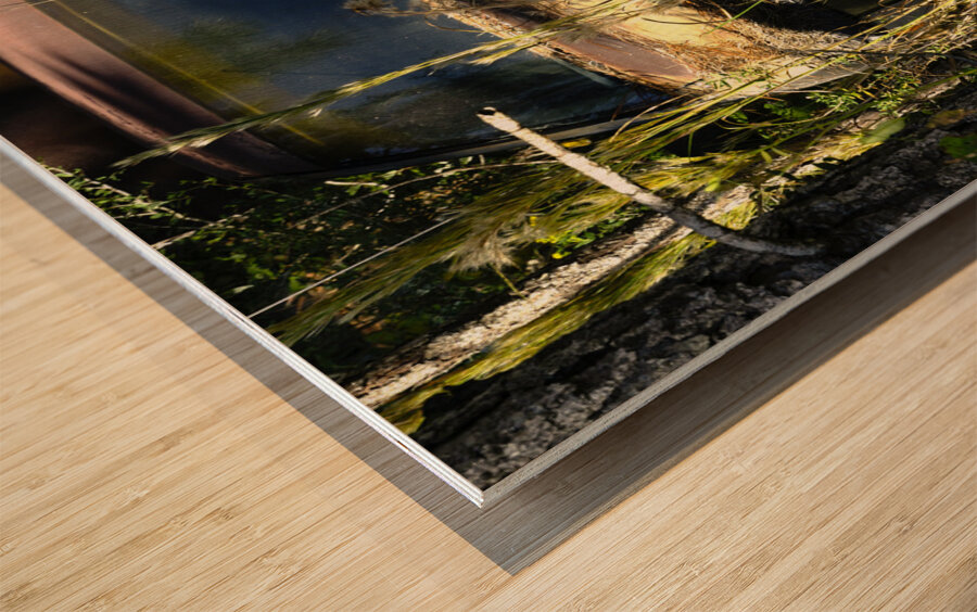 Forgotten Wood print