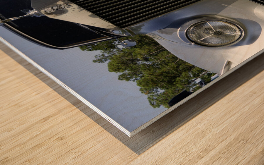 RR Front End Wood print