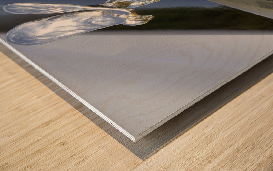 RR Hood Ornament Wood print