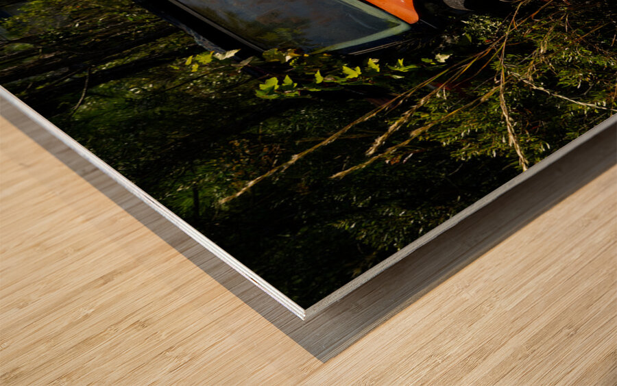 Where Is My Car Wood print