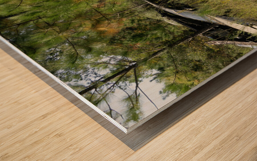 All Lined Up Wood print