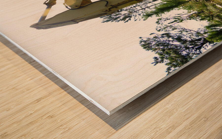 Old Rusty Excavator Wood print