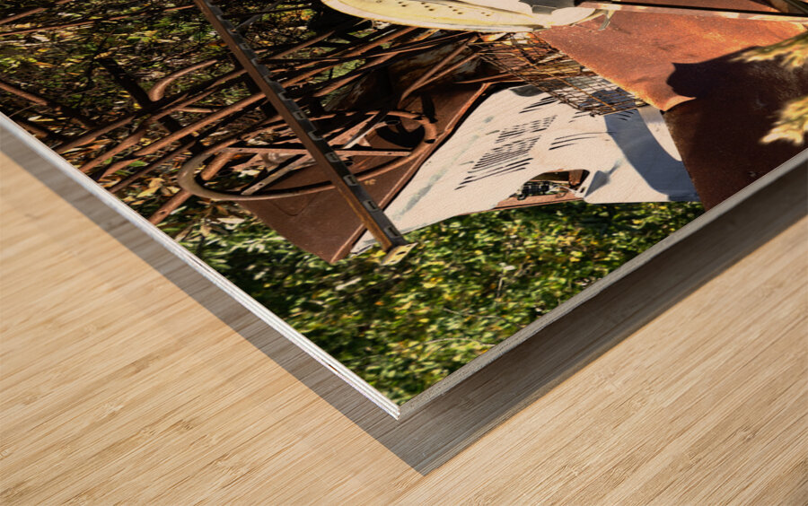 Junkyard Gold Wood print