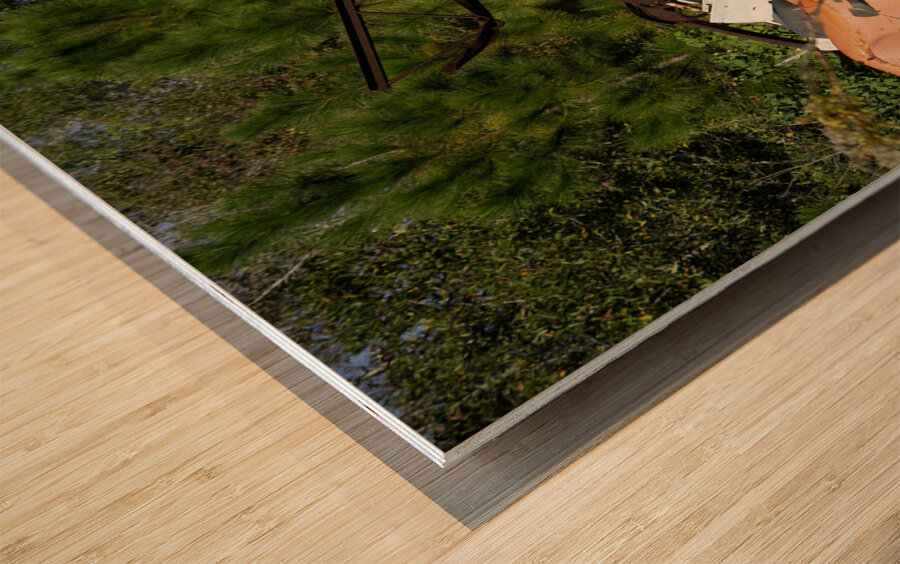 Junk Yard Gold Wood print