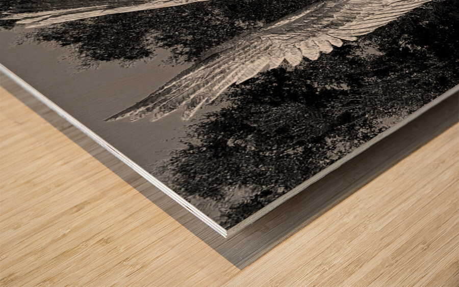 BW BSL Cemetary Guardian Wood print