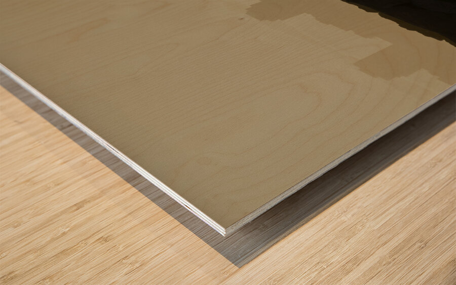 The Levee in Long Beach CA Wood print