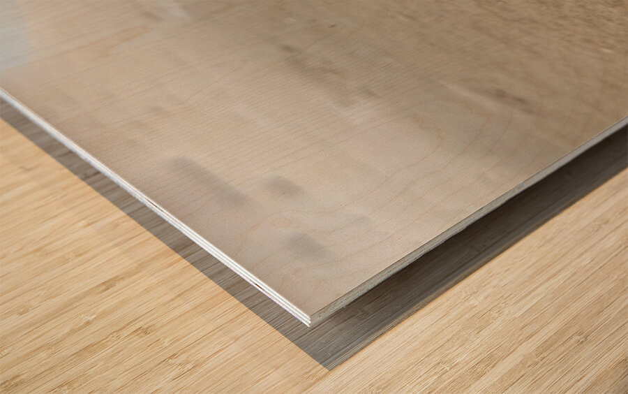 Making My Way Home Wood print