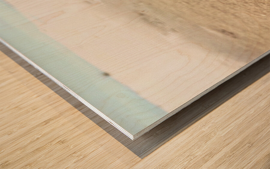 Making My Way To The Water Wood print