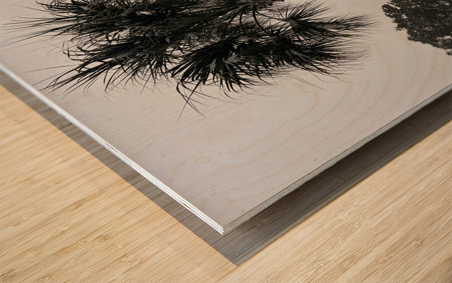 Guy s Snowy Palm Tree Wood print