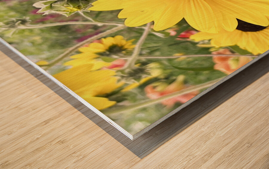 Sissy s Sunflower Wood print