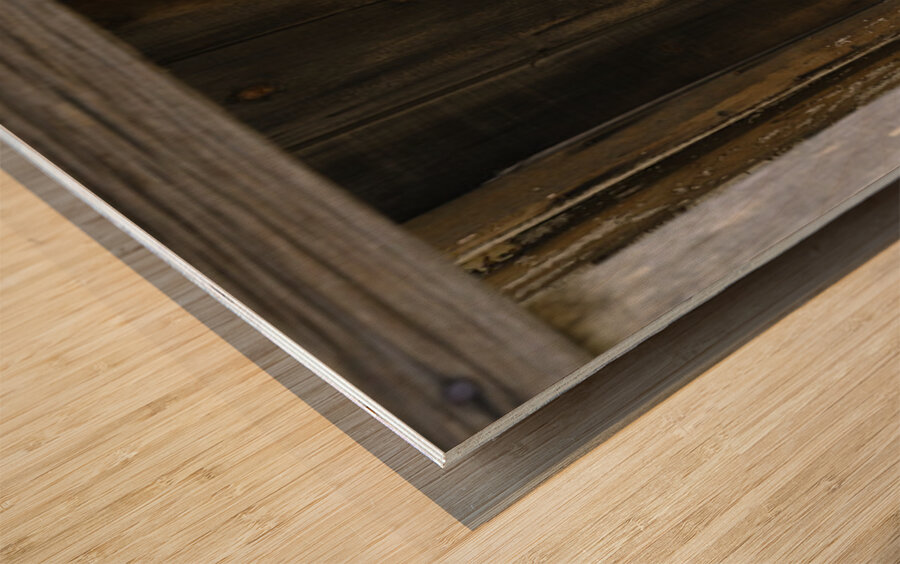 Ghost s Chair Wood print