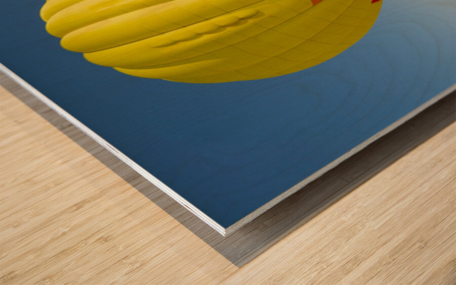 Splash and Dash Wood print