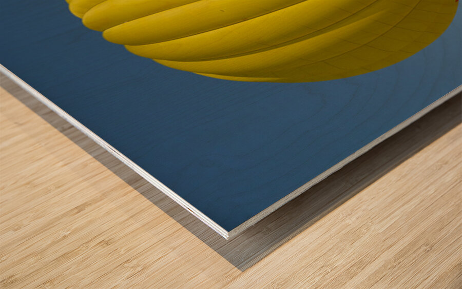 Hot Air Balloon Wood print