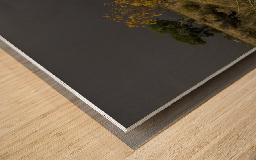 Stormy Field Wood print