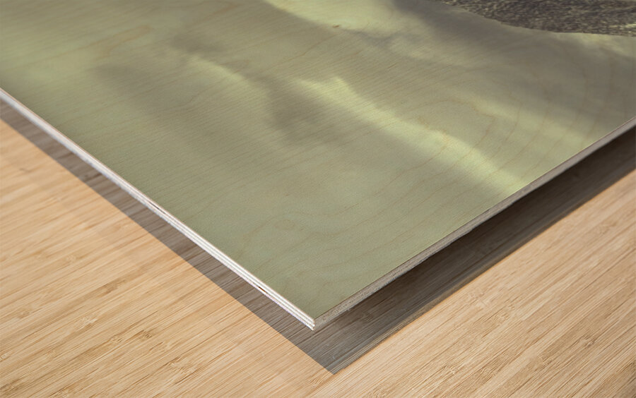 Mtn in the Clouds Wood print