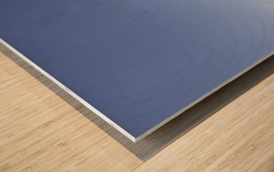 Old Fence Cross Section Wood print