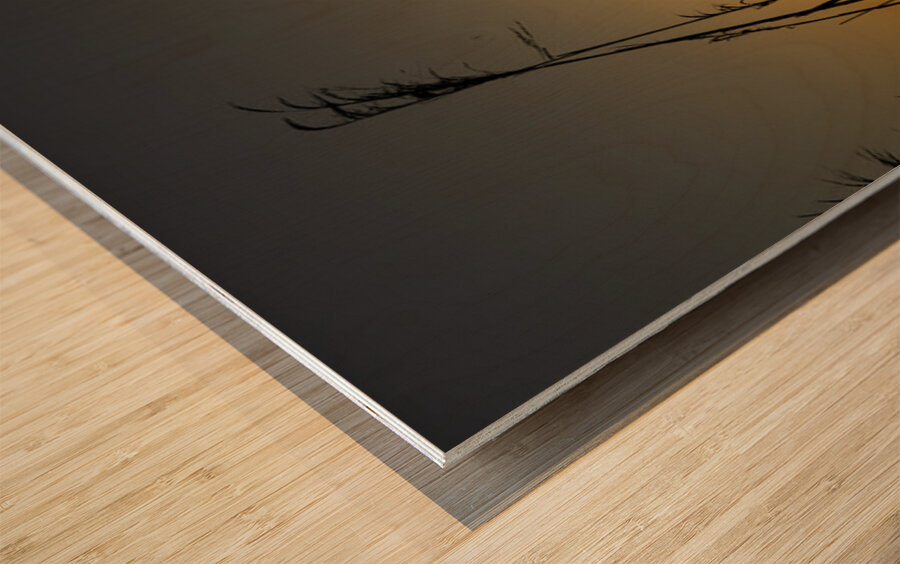 Sunset on the Port Sulphur Marsh Wood print