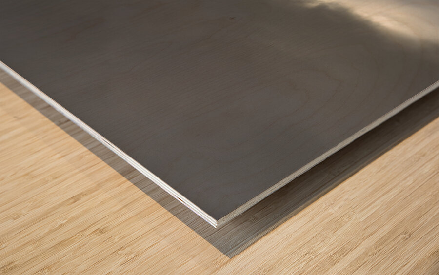 MS River Sun Peeping Through Wood print